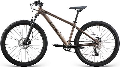 Превью  Велосипед ASPECT Radium Pro 26 Бежевый (2025)